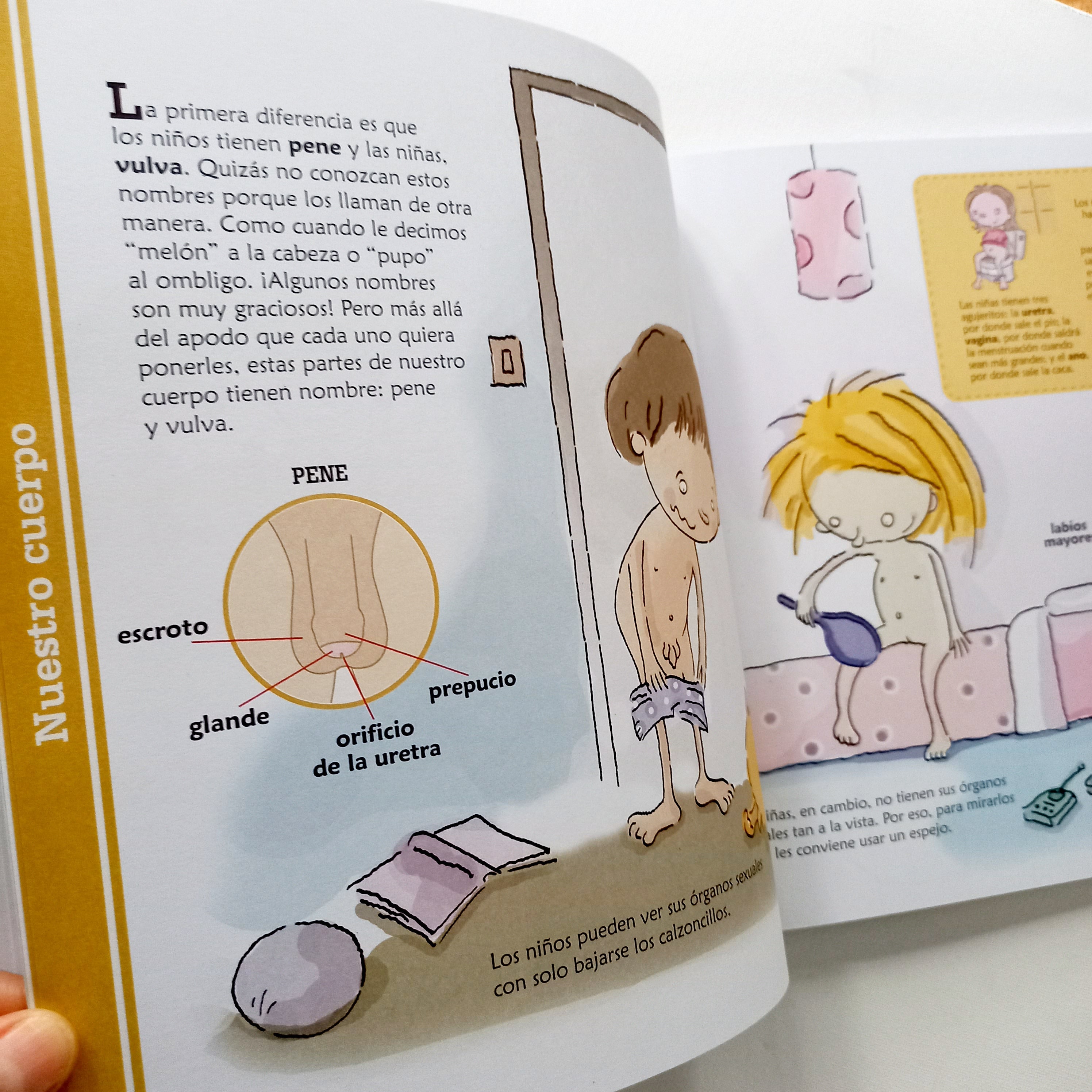 Qué es esto? La sexualidad explicada para niños Qué es esto? La sexualidad explicada para niños